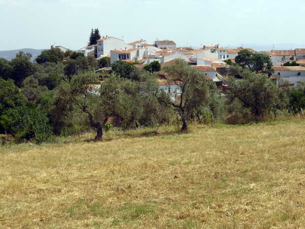 ?image=Cortelazor/cortelazor2.jpg