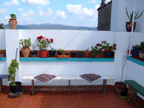?image=The Terrace/flowers.jpg