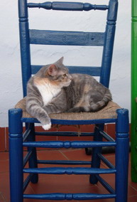 ?image=The Terrace/pepush.jpg