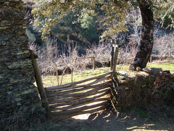 ?image=Cortelazor/Huerta.jpg