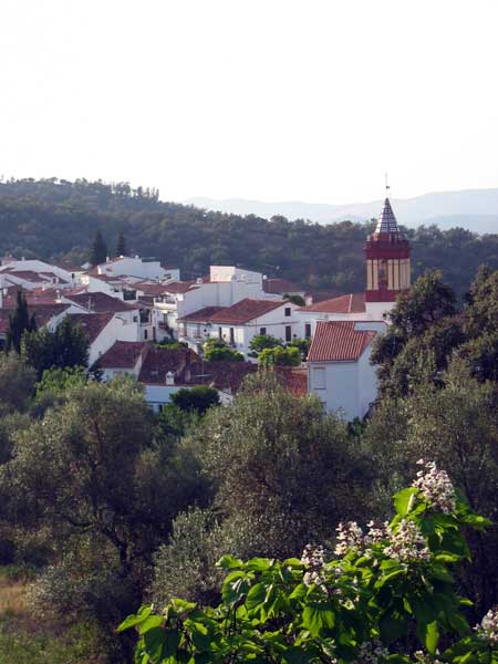 ?image=Cortelazor/cortelazor3.jpg