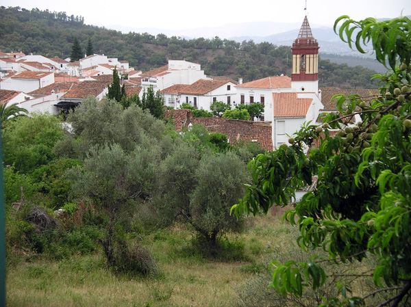 ?image=Cortelazor/cortelazor4.jpg