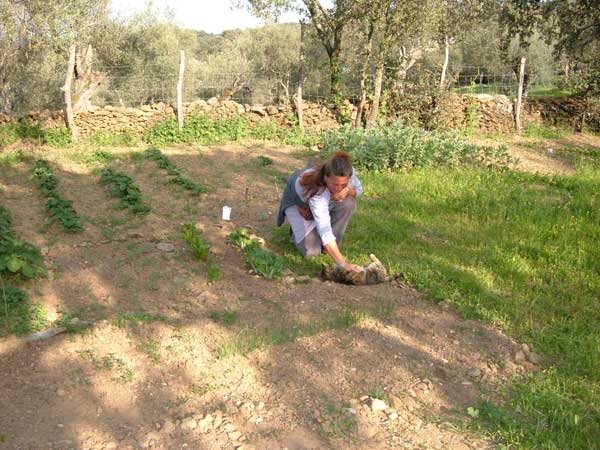 ?image=Cortelazor/huerta1.jpg