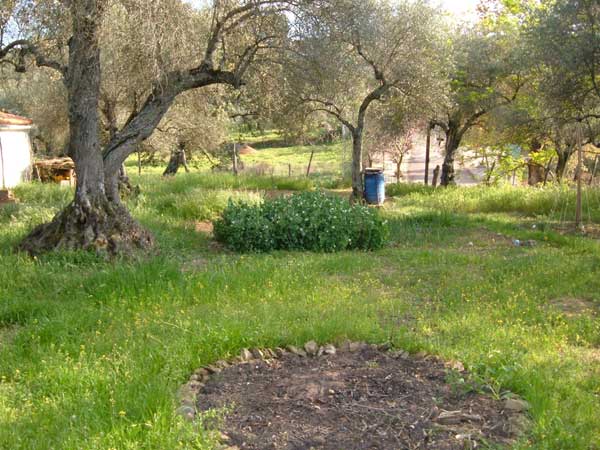 ?image=Cortelazor/huerta2.jpg