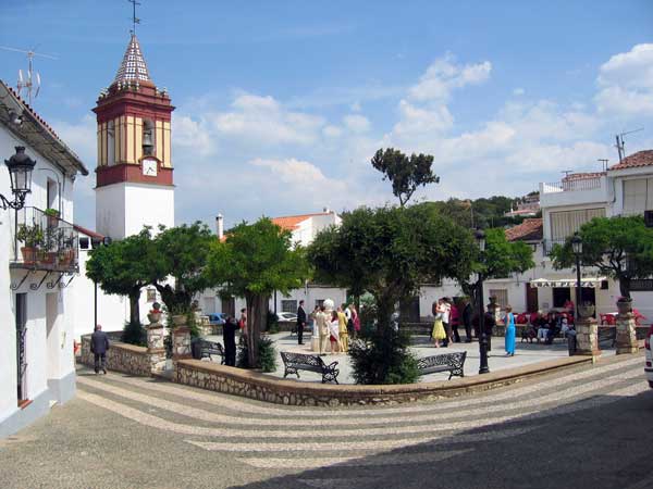 ?image=Cortelazor/square1.jpg