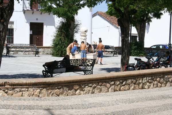 ?image=Cortelazor/square2.jpg