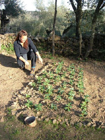 ?image=Cortelazor/vegetableGarden.jpg