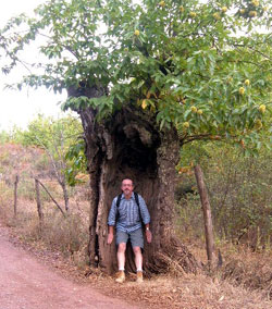 ?image=The Area/StuartInTree.jpg