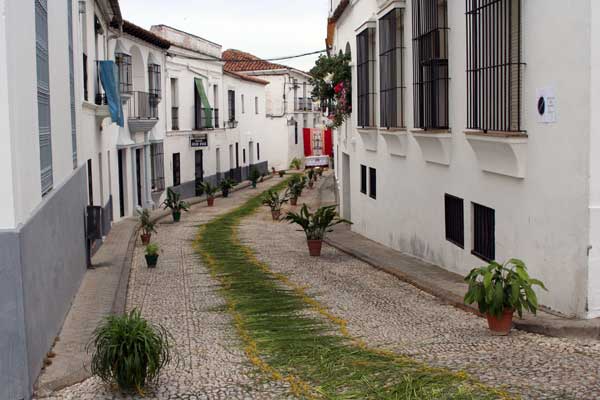 ?image=The Area/festival.jpg