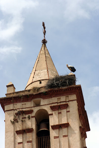 ?image=The Area/stork.jpg